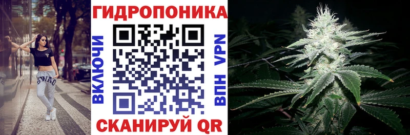 Купить  Краснокаменск  Канабис White Widow 
